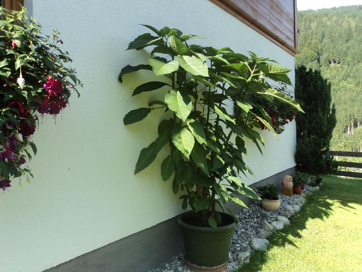 Gondelblick Wagrain Exterior foto