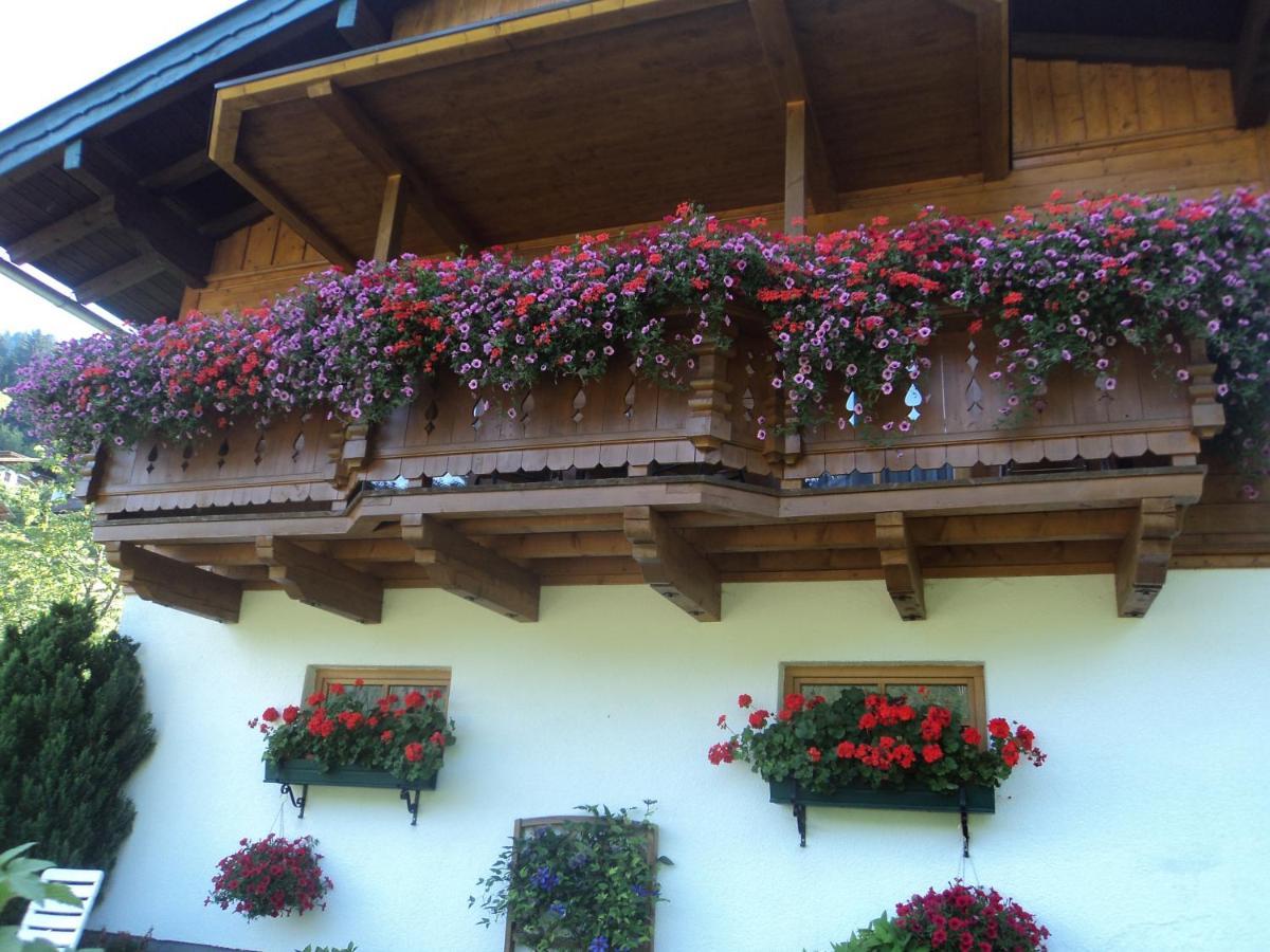 Gondelblick Wagrain Exterior foto